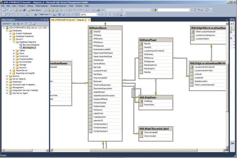 sql server 2012 express sp2