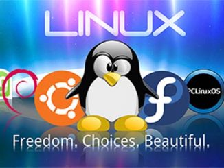 linux, centos, os, tan cong, ddos, host, vps, server