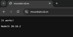Kiểm tra thử xem nodejs đã hoạt động hay chưa